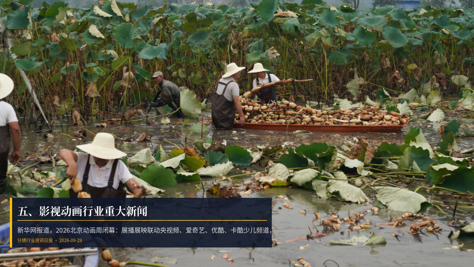 🎬 五、影视动画行业重大新闻